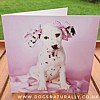 Dalmatian Rachael Hale Greetings Card Daysha